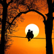 Dreams at Sunset