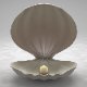 Clamshell with a Pearl - 3DOcean Item for Sale