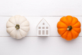 Decorative pumpkins on the wooden background - PhotoDune Item for Sale
