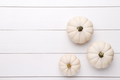White decorative pumpkins - PhotoDune Item for Sale