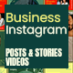 Business Instagram Posts and Stories Promo - VideoHive Item for Sale