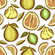 Seamless Pattern with Lemon and Grapefruit. - GraphicRiver Item for Sale
