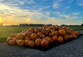 Pile of pumpkins - PhotoDune Item for Sale
