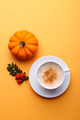Cup of coffee and pumpkin - PhotoDune Item for Sale