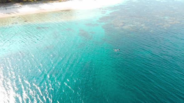 Aerial slow motion: woman snorkeling on coral reef tropical sea from above