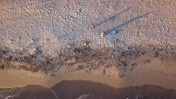 Girl and dog on the beach at sunset. Aerial view