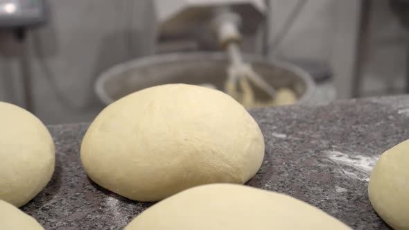 Making bread rolls. Rustic style.Process of making bread.