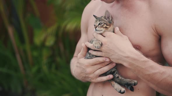 Close Up Kitten Held By Strong Caucasian Man