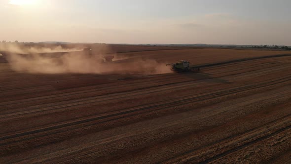 Aerial shot: fly along combines harvesting at sunset