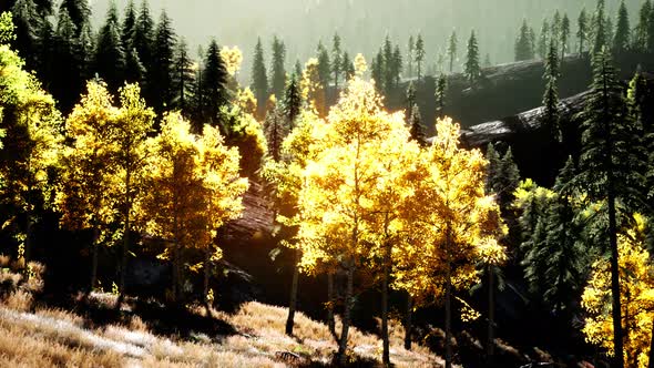 Bright Sunset in the Mountains