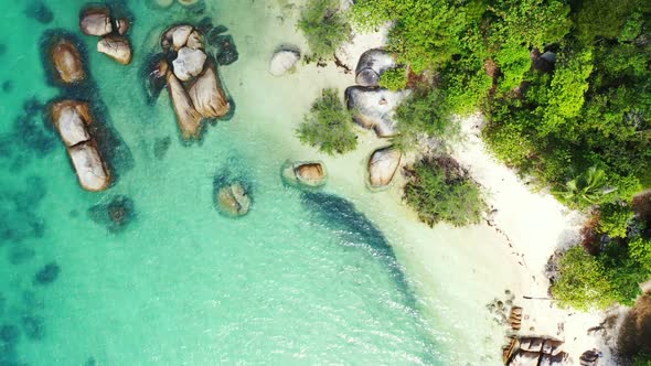 Aerial flying over travel of marine seashore beach wildlife by blue lagoon with white sand backgroun