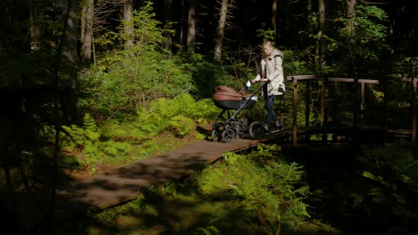 woman rolls a stroller with a child along a forest trail on a sunny day