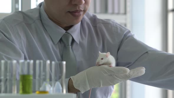 Man experiment rat in laboratory