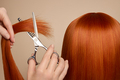 Hairdresser cuts long red hair with scissors - PhotoDune Item for Sale