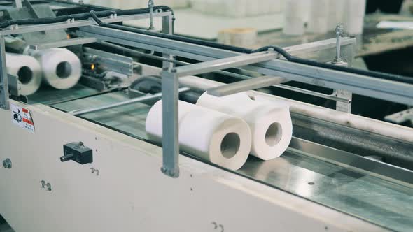 Batches of Toilet Paper Are Moving Along the Factory Conveyor