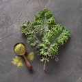 Kale salad with kale powder on graphite background - PhotoDune Item for Sale