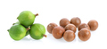 fresh macadamia nuts isolated on white - PhotoDune Item for Sale