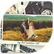 Memories Photo Slideshow - VideoHive Item for Sale