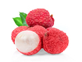 lychee on white background - PhotoDune Item for Sale