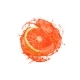Grapefruit Fruit Slice with Fresh Juice Splash - GraphicRiver Item for Sale