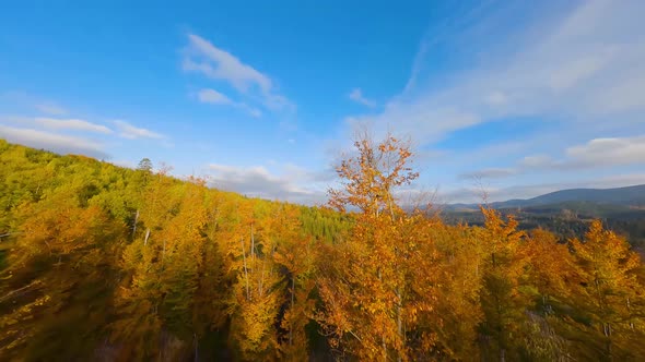 Aerial View of a Bright Autumn Forest on the Slopes of the Mountains at Sunrise