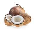 coconut on white background - PhotoDune Item for Sale