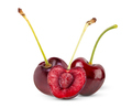 Cherry isolated on white - PhotoDune Item for Sale