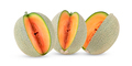 cantaloupe melon isolated on white - PhotoDune Item for Sale