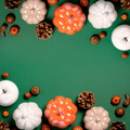 Autumn border with ceramic pumpkins, pine cones and autumn decor on dark green background - PhotoDune Item for Sale