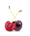 Red cherry isolated on white - PhotoDune Item for Sale