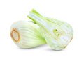 Fresh fennel isolated on a white - PhotoDune Item for Sale