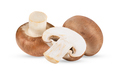 Fresh champignon mushrooms isolated on white - PhotoDune Item for Sale