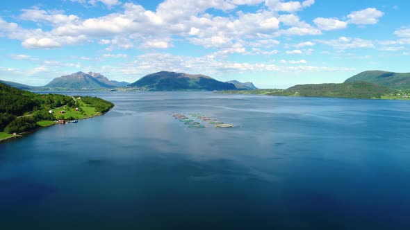 Farm Salmon Fishing in Norway