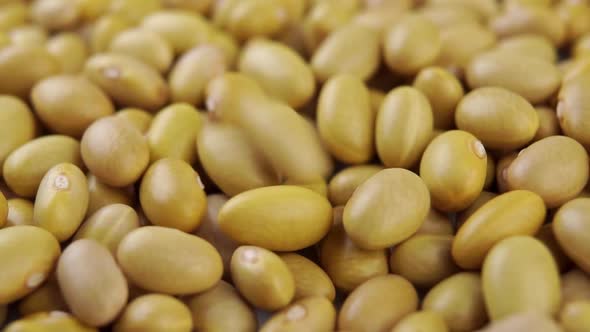 Uncooked peruvian bean falling in slow motion. Mayocoba grains. Macro. Dry Canary legumes