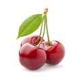 Cherry with leaves on white background - PhotoDune Item for Sale