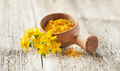 St john's wort plant on old wooden background - PhotoDune Item for Sale