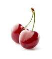 Sweet cherry on white background - PhotoDune Item for Sale