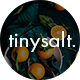 TinySalt - Personal Food Blog WordPress Theme - ThemeForest Item for Sale