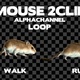 Mouse 2CLip Loop Alpha - VideoHive Item for Sale