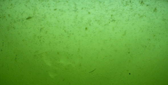 Green Dirty Water Sludge Background Loop