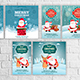 Merry Christmas Social Media Stories & Banners - VideoHive Item for Sale
