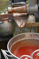 Classic handmade tomato collecting and puree with ancient metal press sauce maker - PhotoDune Item for Sale
