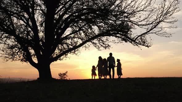 Walking under a tree, at sunset