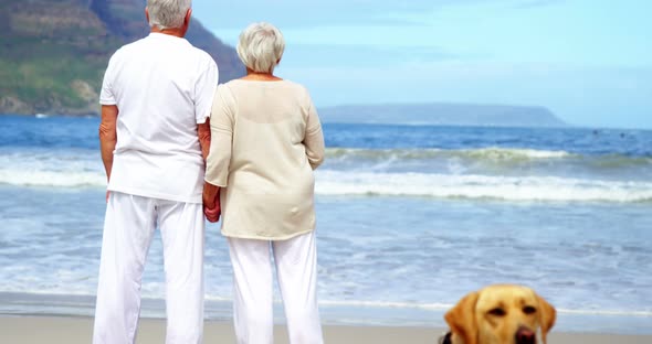 Senior couple standing on the beach