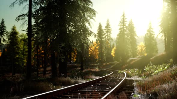 Autumn Colours Along a Railway Track at Sunset