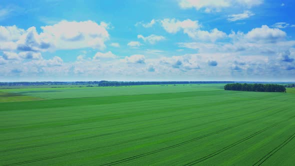 Flying Over The Field