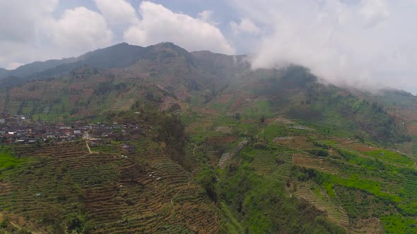 Tropical Landscape with Farmlands in Mountains