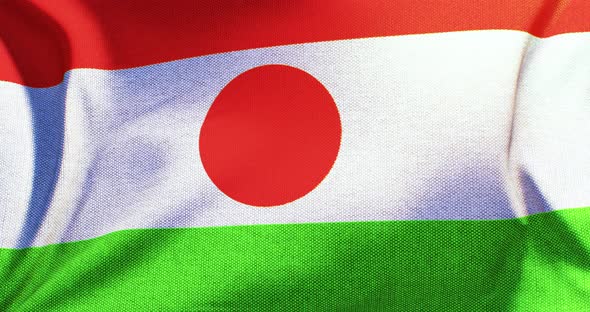 Niger - Flag - 4K