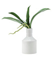 Artificial plant in a vase over white background. Image for interior design. - PhotoDune Item for Sale