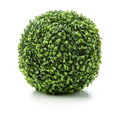 Small-leaved artificial plant in round shape over white - PhotoDune Item for Sale